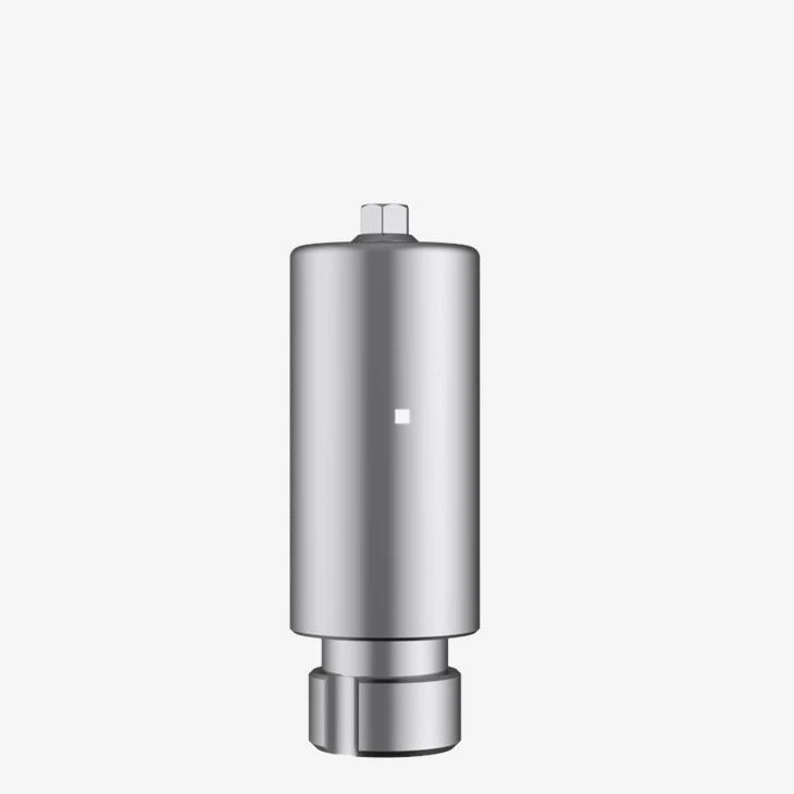 Straumann Synocta Premilled Abutment